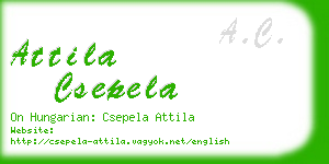 attila csepela business card